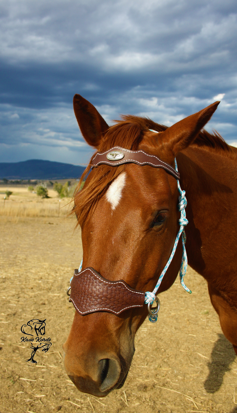 bitless bridle leather and rope