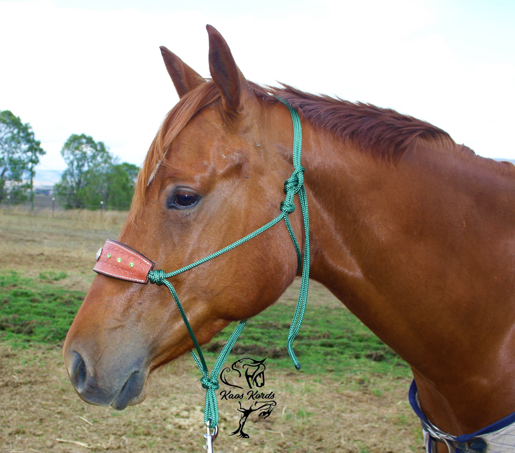 custom leather halter