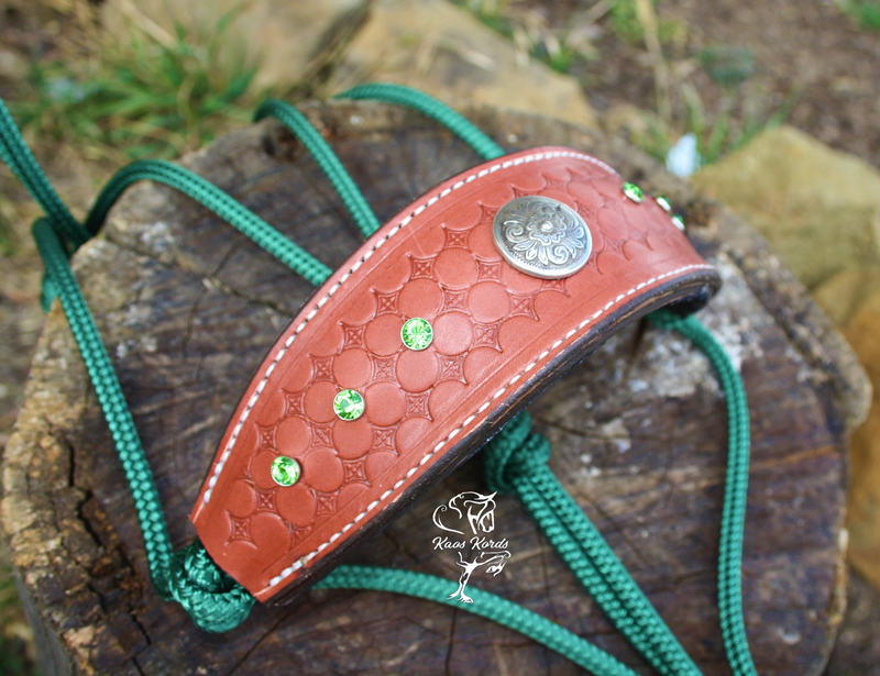 Leather Noseband Bronc Style Halter With Concho and Stones