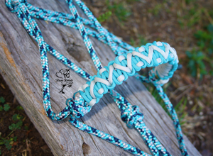 braided halter horse