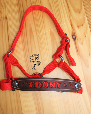 custom alapaca halter