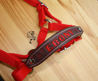 custom goat halter