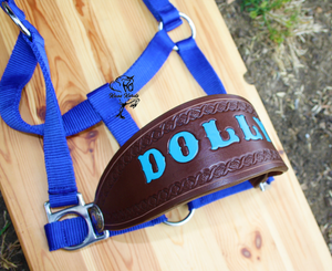 stable halter with name