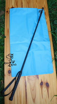 horse training flag
