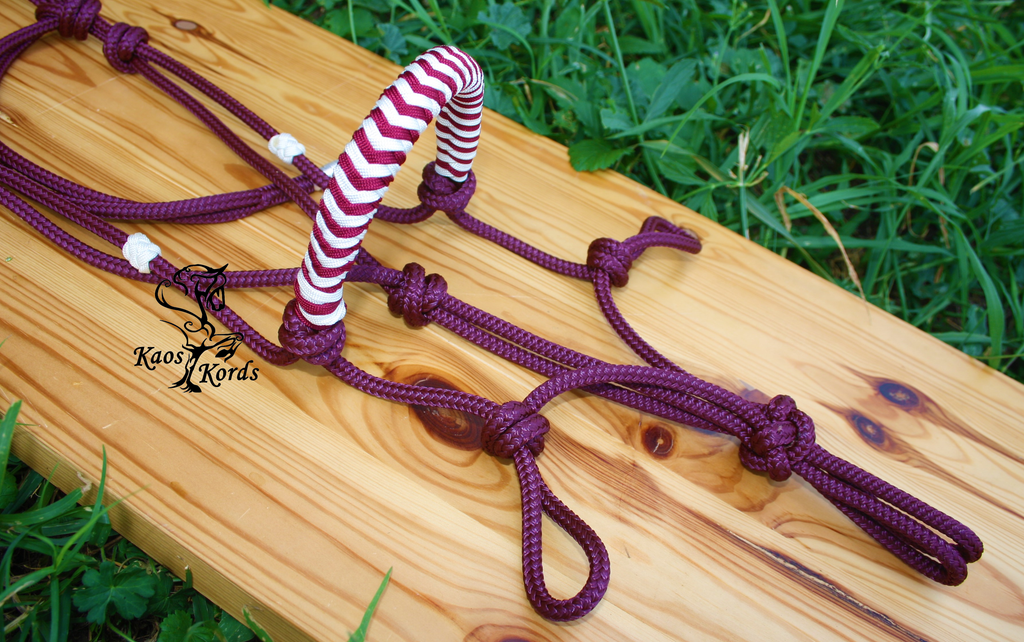 bitless bridle horse