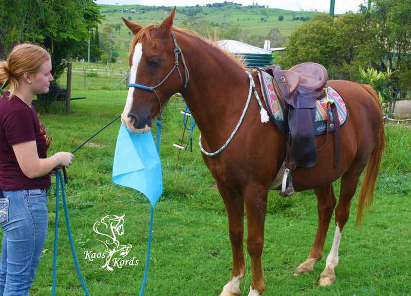 natural horsemanship training