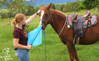natural horsemanship flag