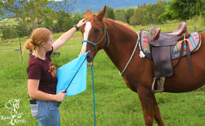 natural horsemanship flag