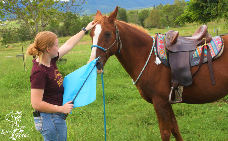 natural horsemanship flag
