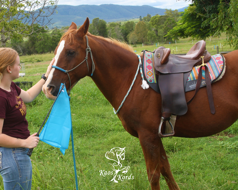 horse training flag and pole