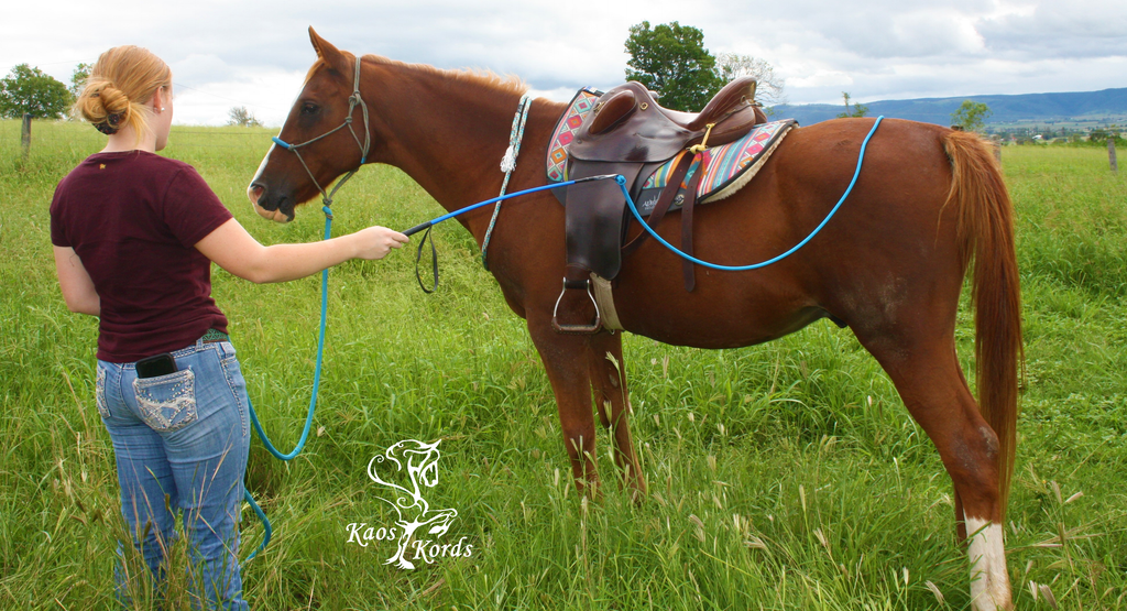 horse carrot stick