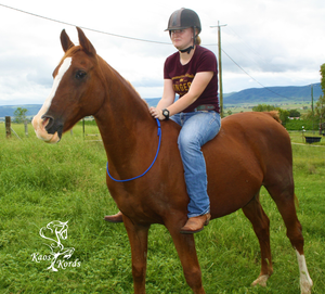 horse adjustable cordeo