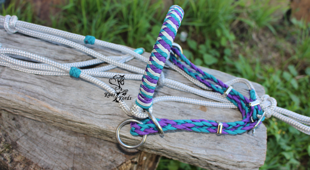 bitless bridle