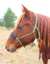 neoprene noseband bitless bridle