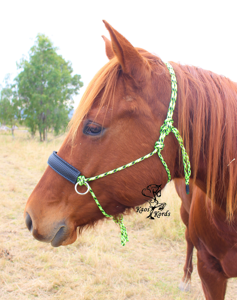 neoprene noseband bitless bridle
