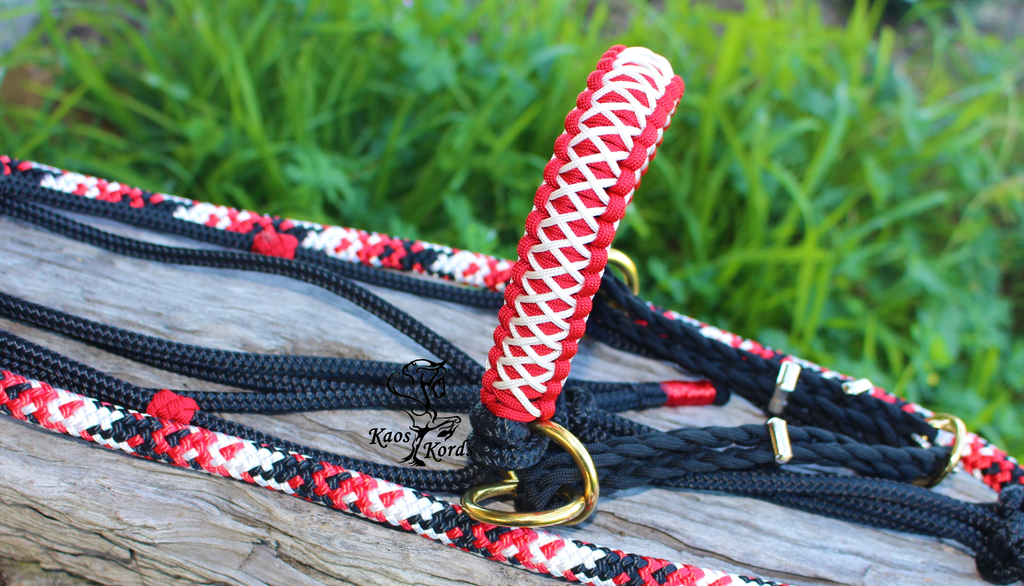 bitless bridle