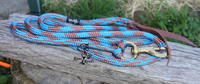 rope horsemanship lead