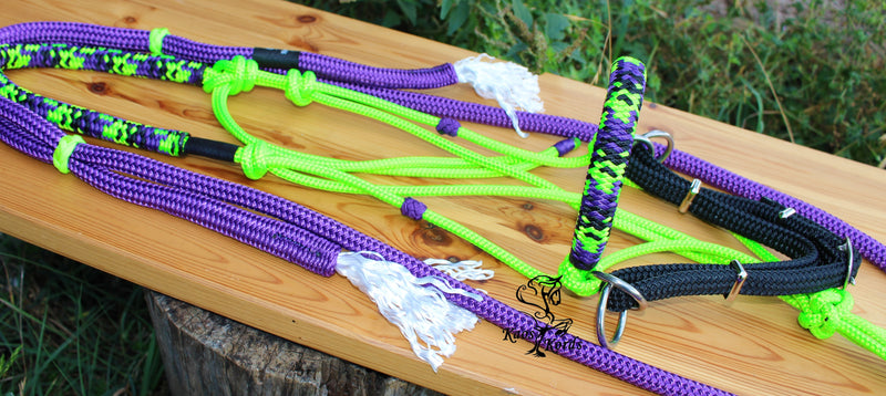 scrawbrig bitless bridle