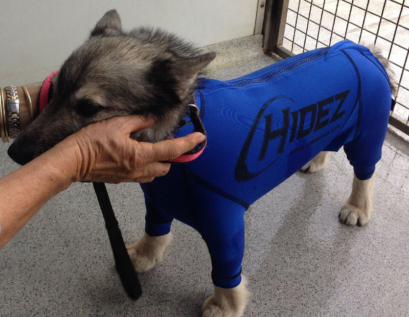 Hidez Canine Anxiety Suit