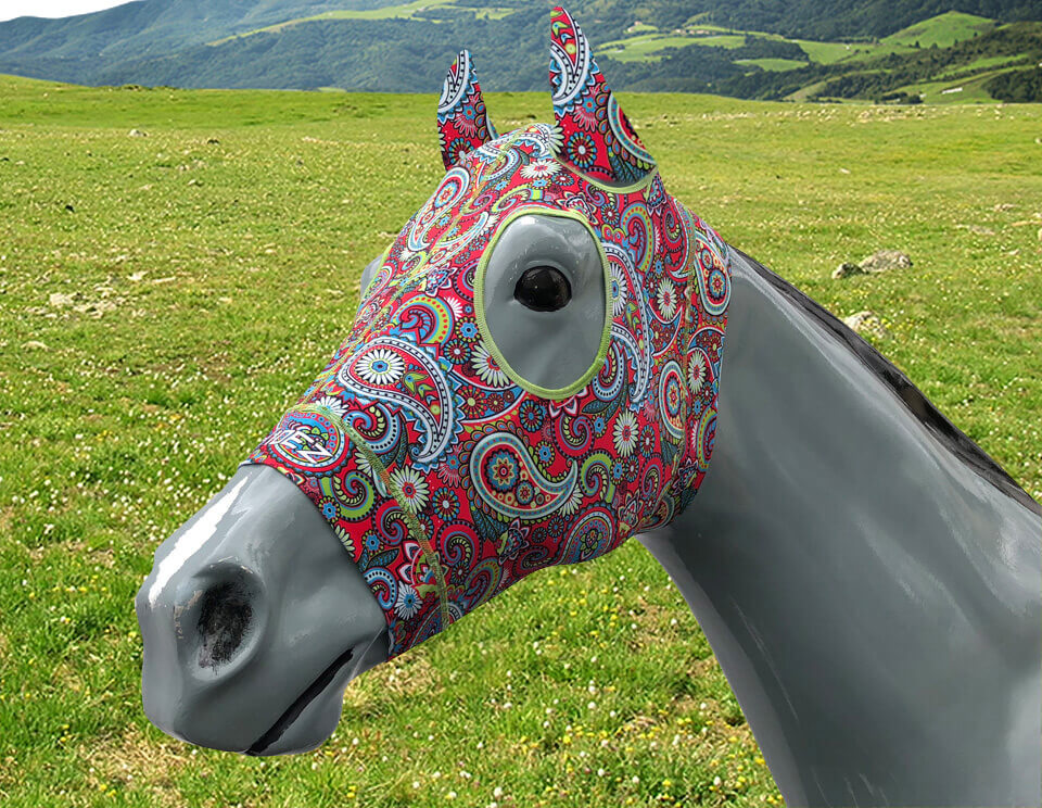 Hidez Compression Hood with ears paisley