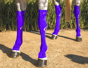 hidez socks purple