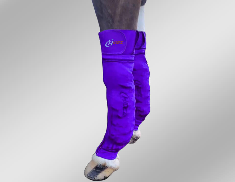 horse ice socks