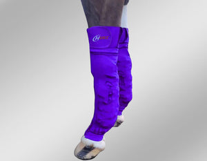 horse ice socks