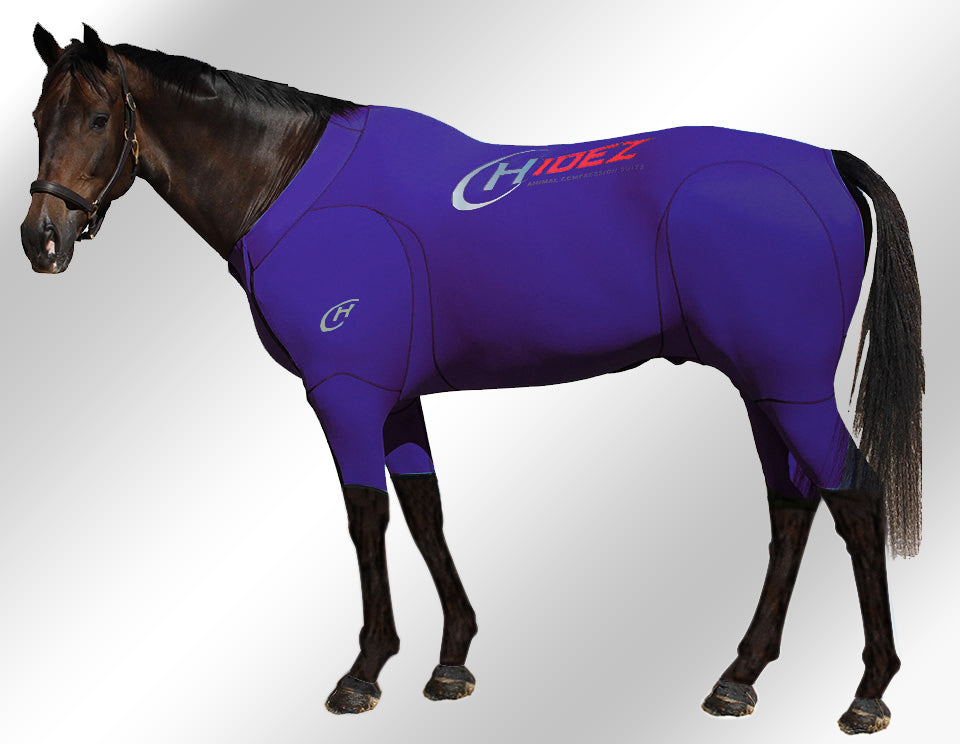 Hidez Active Suit Equine 