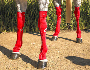 hidez equine compression socks red