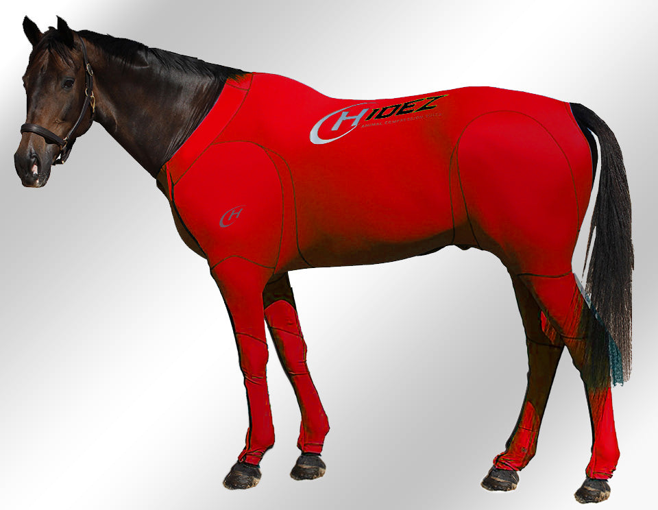 Hidez compression suit