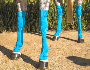 hidez equine compression socks turquoise