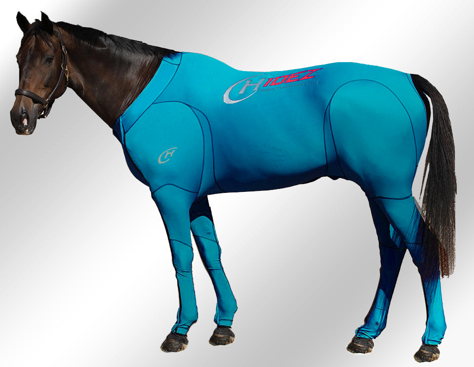 Hidez recovery suit
