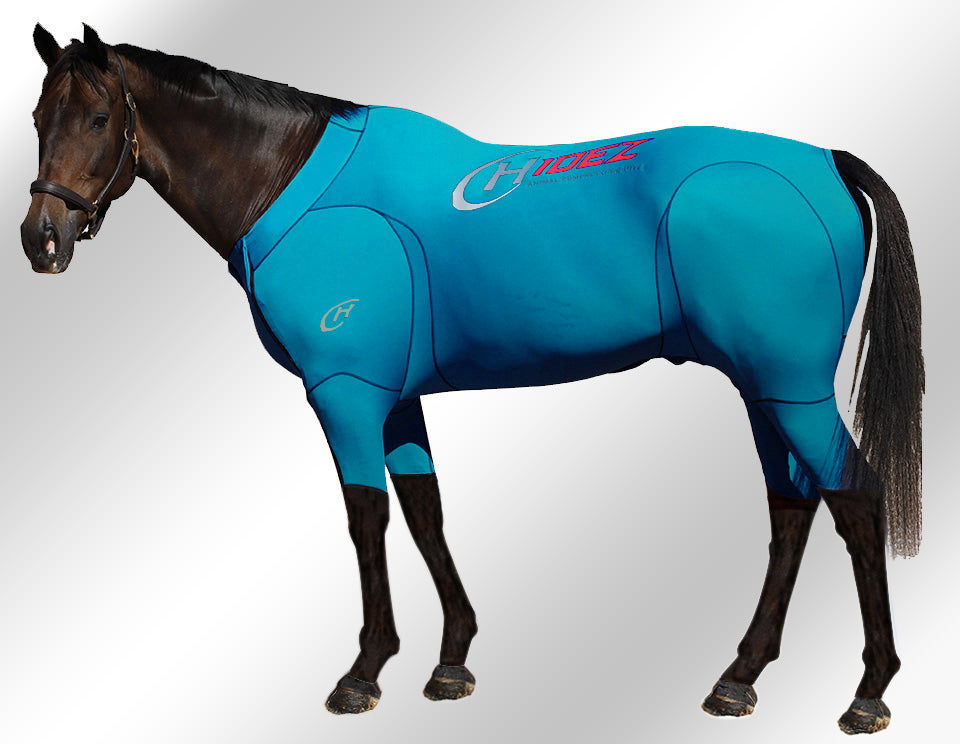 Hidez Equine Active Suit Turquoise