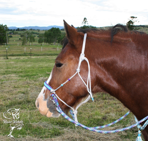 bitless bridle australia