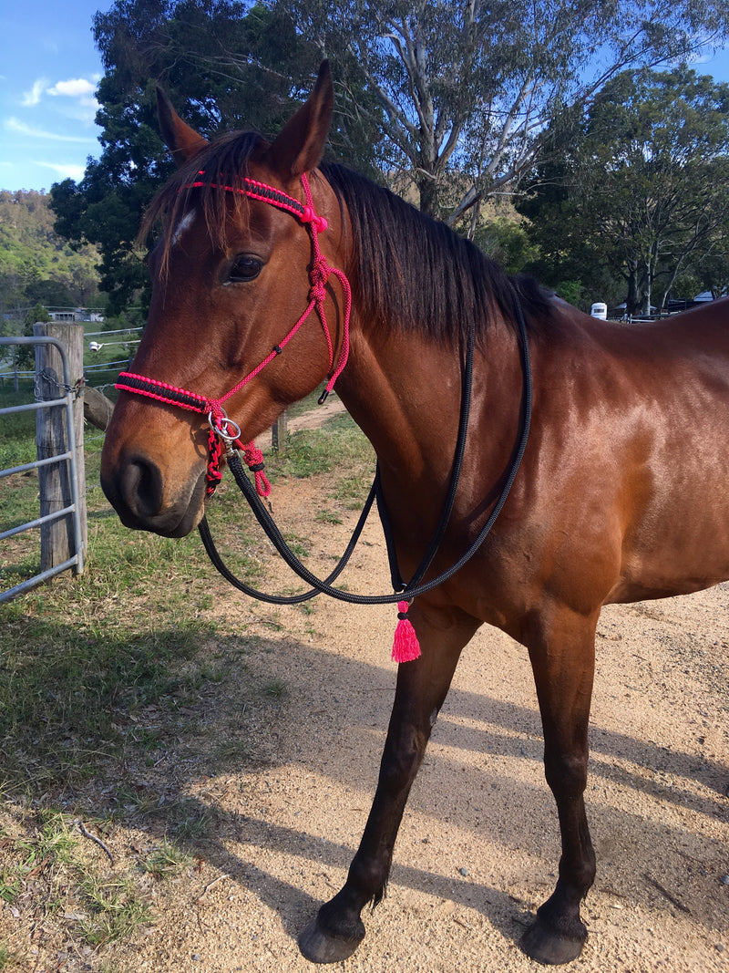Bitless Bridle Flat Braid