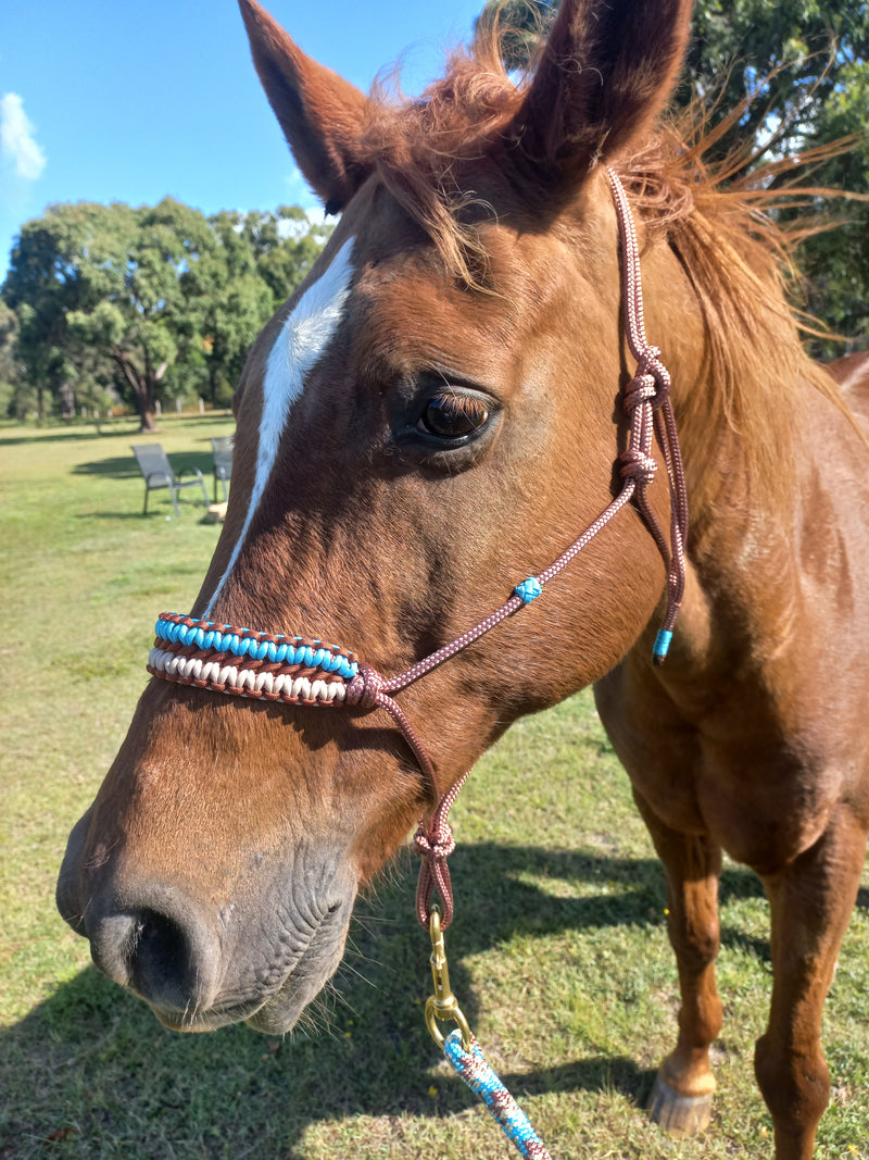 Rope Halter With Double Solomon Braid