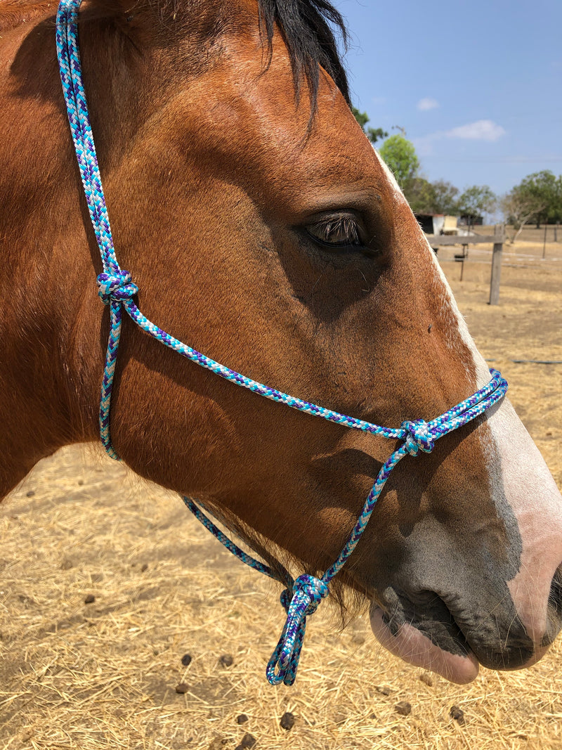 Side pull/Riding Halter Loop Rein Attachment 6mm or 8mm