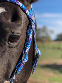 Flat Style Rope Bridle 12mm With Clips