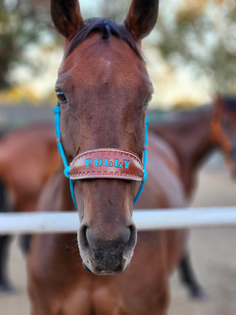 Halter With Name Noseband Painted Bronc Style