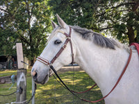 Bridle To Bitless Noseband Converter