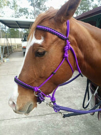 Rope Bitless Bridle
