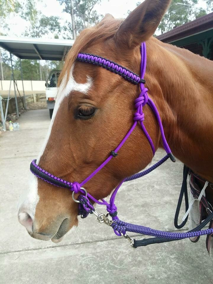 Rope Bitless Bridle