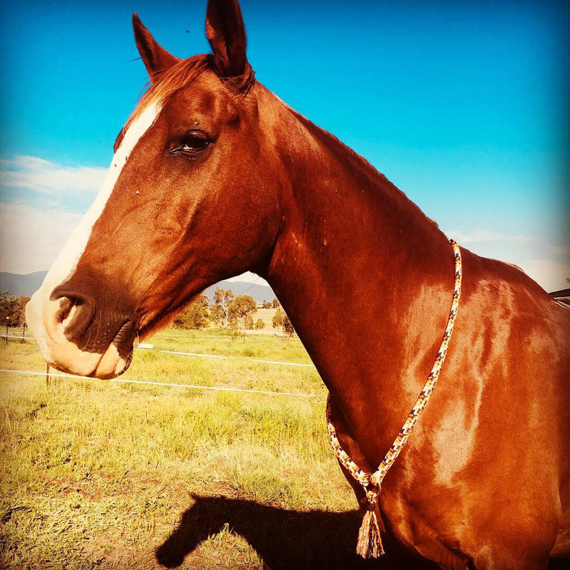 Neck Rope for Bridleless Riding