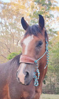 Loop Rein Attachment Side pull/Riding Halter With Leather Name Noseband  No Rings