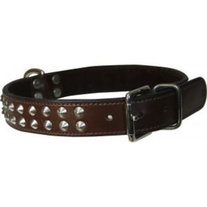 Dog Collar With NP Deco Studs Brown