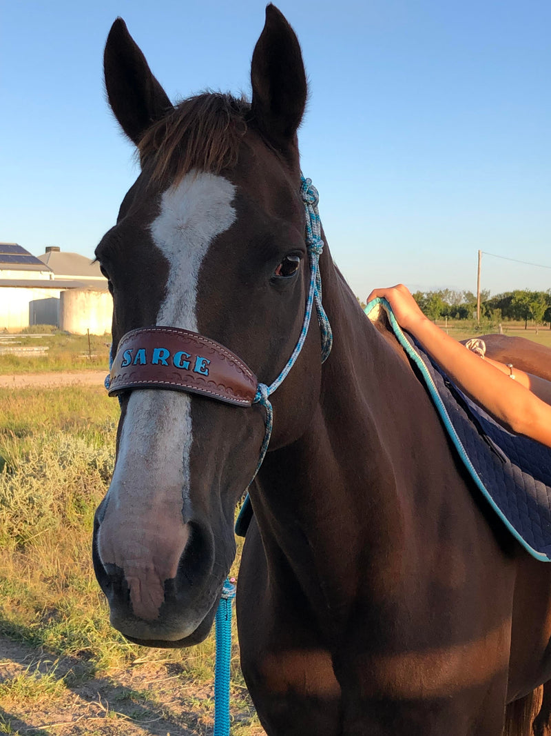 Halter With Name Noseband Painted Bronc Style
