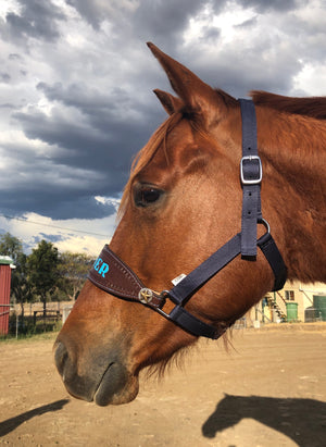 name noseband australia