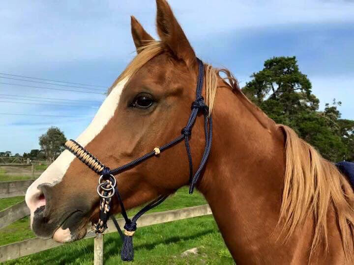 Bitless Bridle Rope