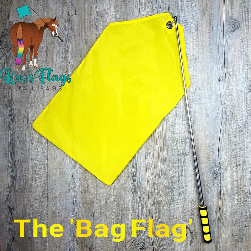Training flag horse