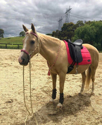 Bitless Bridle With Stitched Solomon Braid